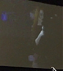 01045.jpg