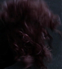 02560.jpg